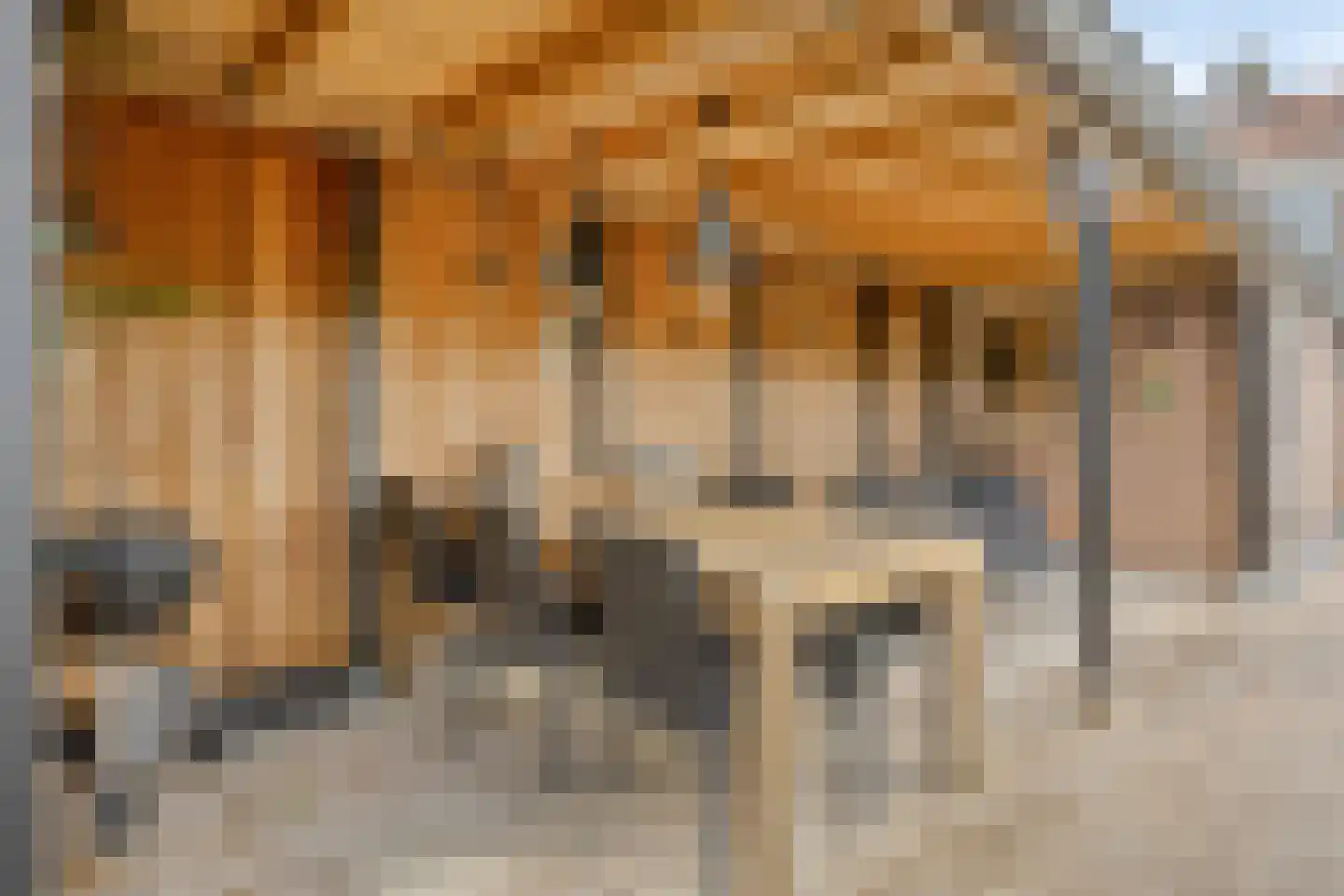 Lijsterbesstraat 5 Emmeloord thumbnail 27
