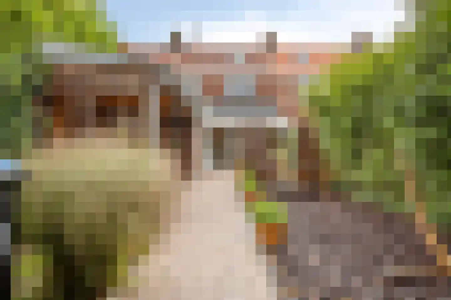 Lijsterbesstraat 5 Emmeloord thumbnail 28
