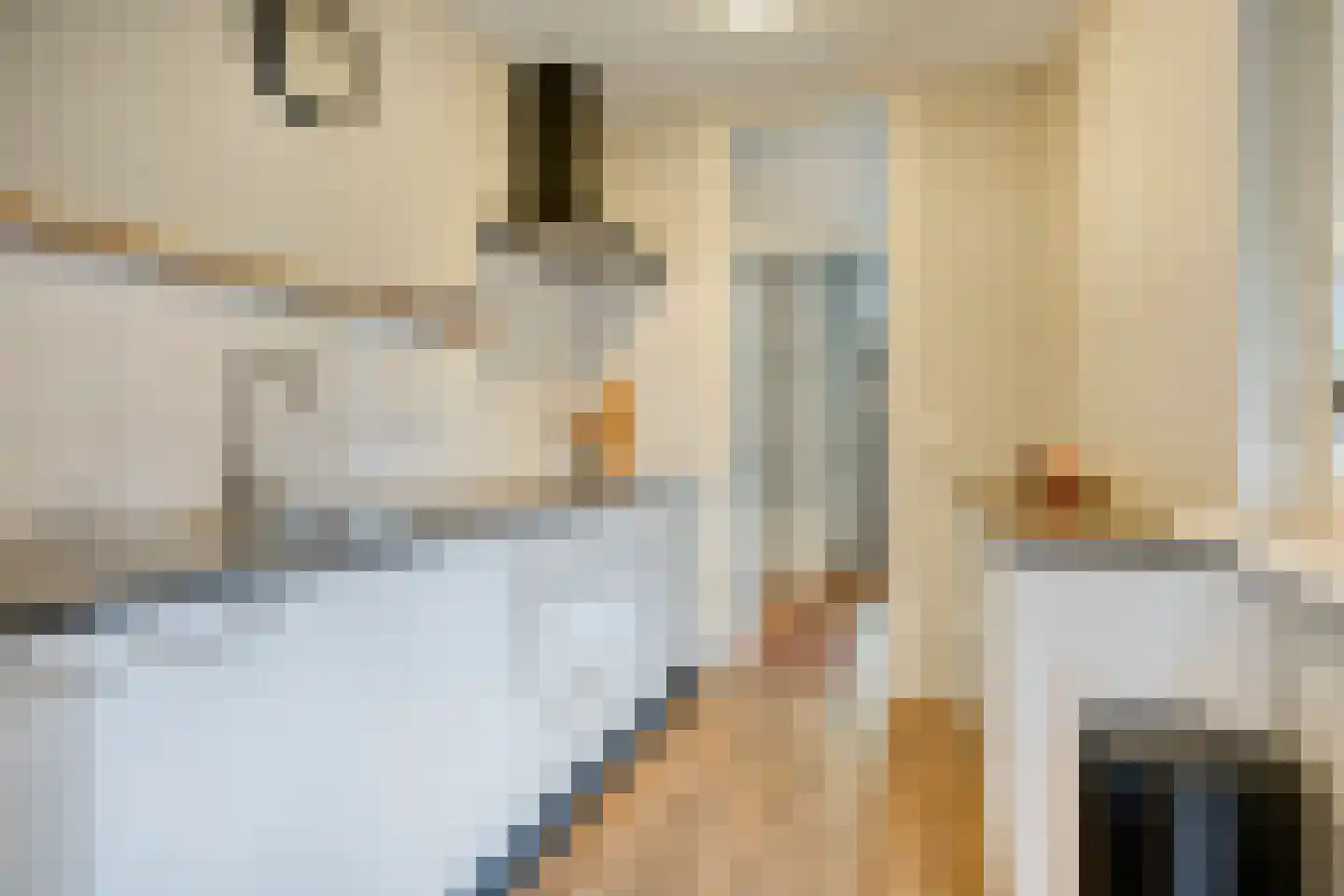 Lijsterbesstraat 5 Emmeloord thumbnail 4