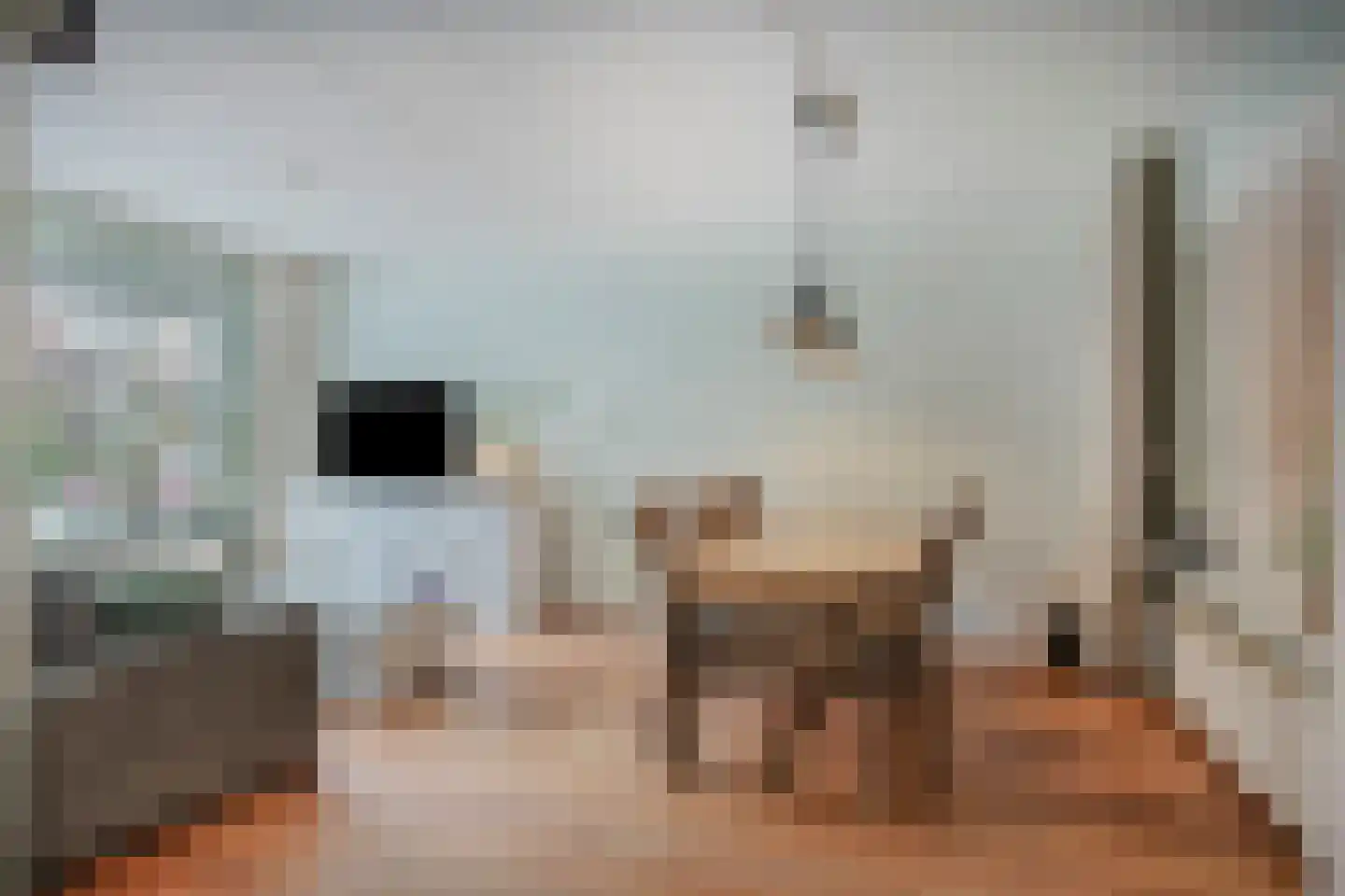Lijsterbesstraat 5 Emmeloord thumbnail 8