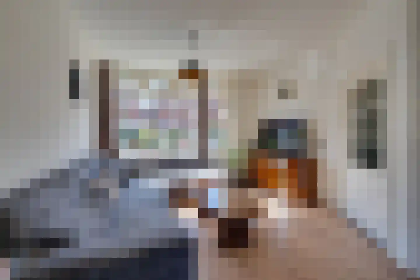 Lijsterbesstraat 50 Zaandam thumbnail 13
