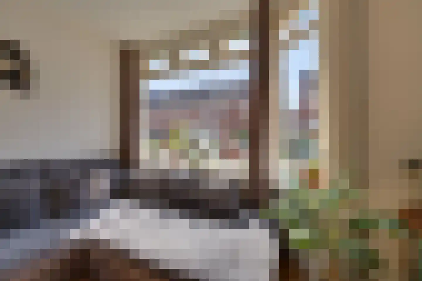 Lijsterbesstraat 50 Zaandam thumbnail 14