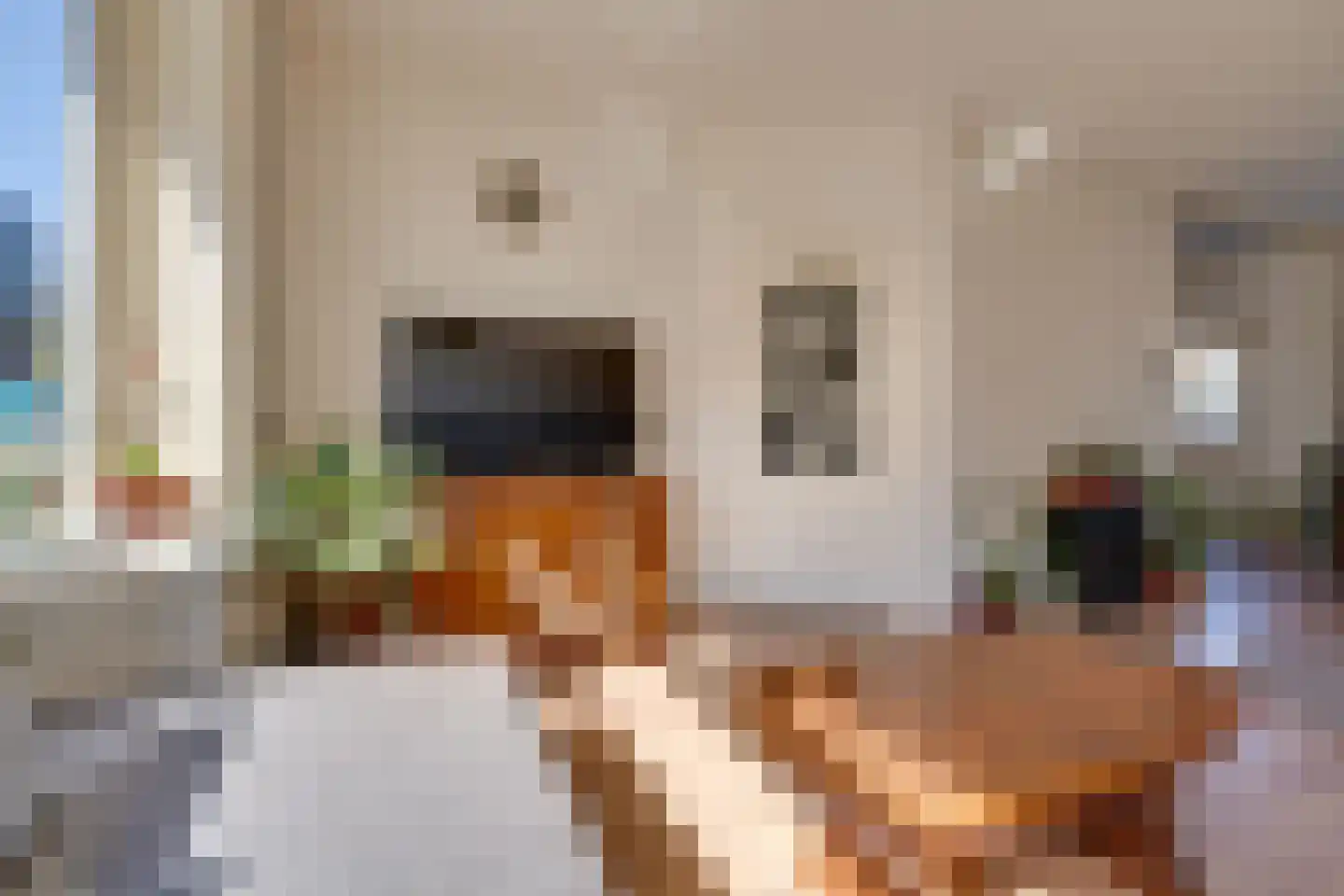 Lijsterbesstraat 50 Zaandam thumbnail 17