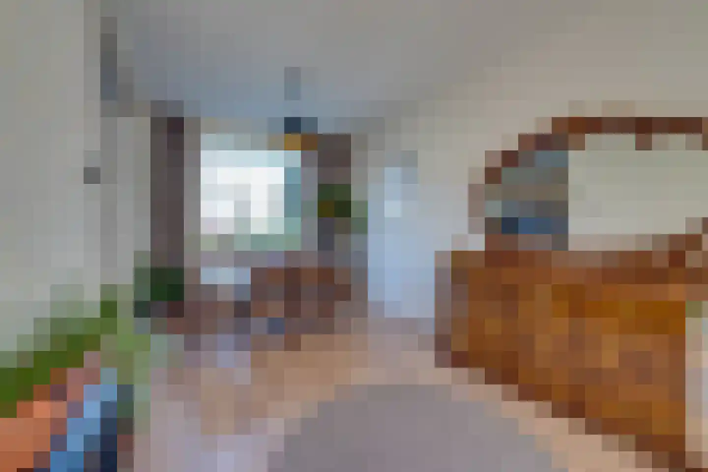 Lijsterbesstraat 50 Zaandam thumbnail 20