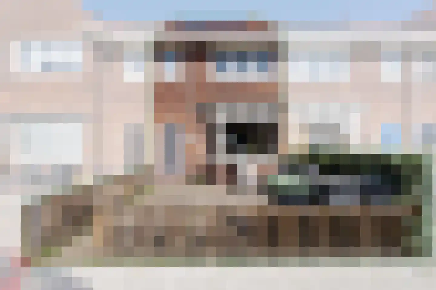 Lijsterbesstraat 50 Zaandam thumbnail 5
