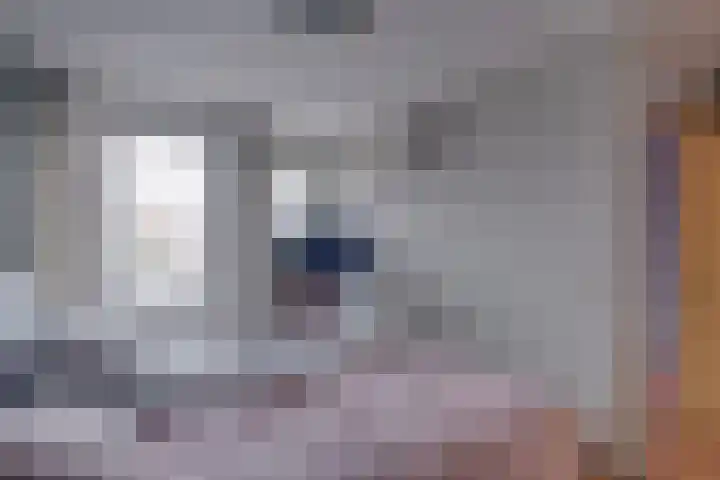 Lijsterbesstraat 51 Borculo thumbnail 20