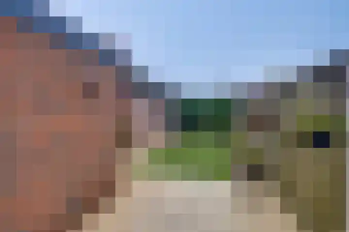 Lijsterbesstraat 51 Borculo thumbnail 33