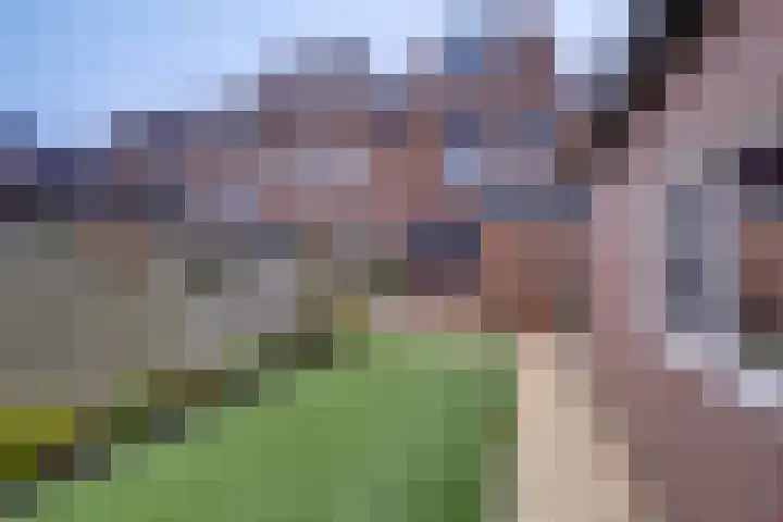 Lijsterbesstraat 51 Borculo thumbnail 34