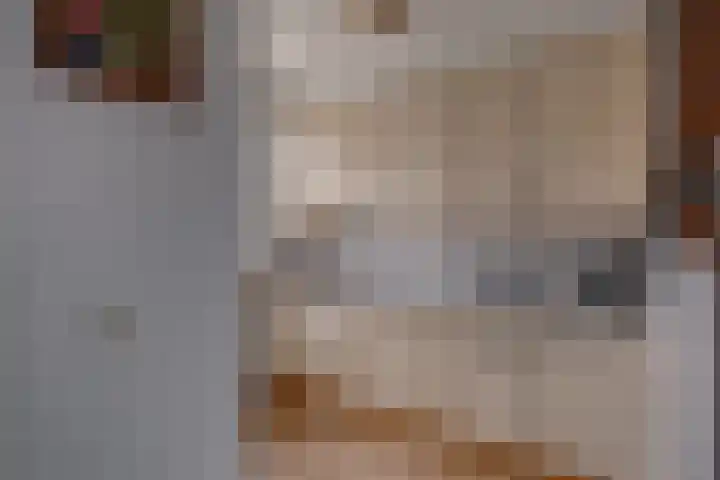 Lijsterbesstraat 51 Borculo thumbnail 4