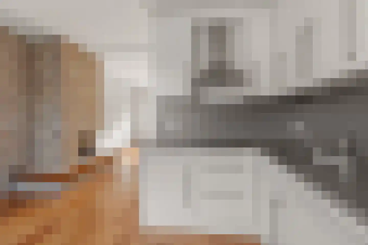 Lijsterbesstraat 52 Waddinxveen thumbnail 13
