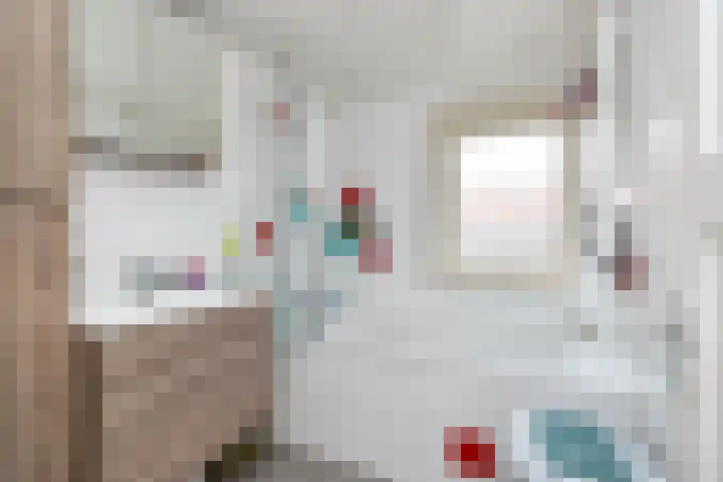Lijsterbesstraat 53 Zaandam thumbnail 17