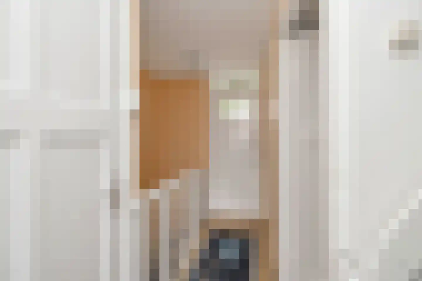 Lijsterbesstraat 53 Zaandam thumbnail 17