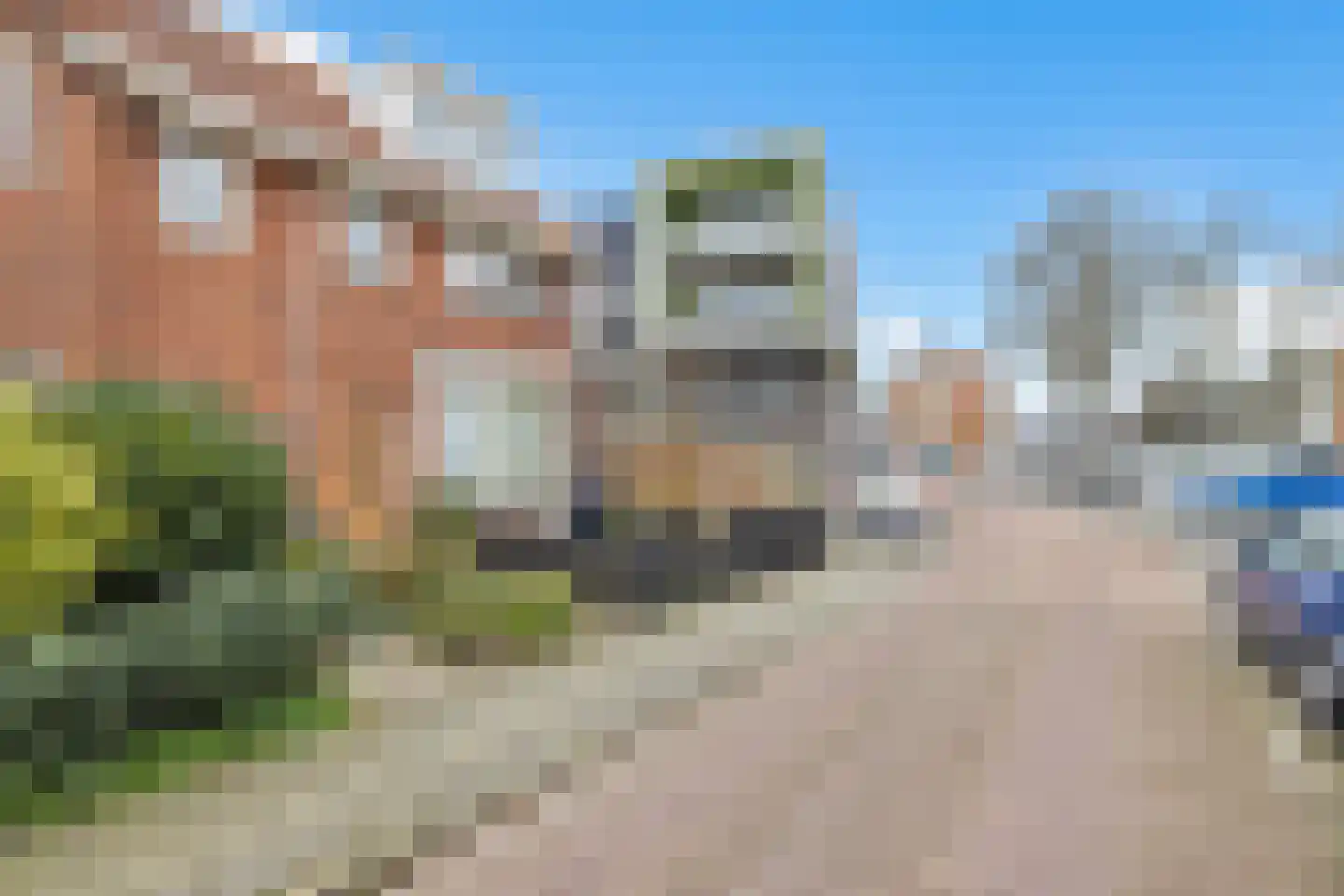 Lijsterbesstraat 53 Zaandam thumbnail 5