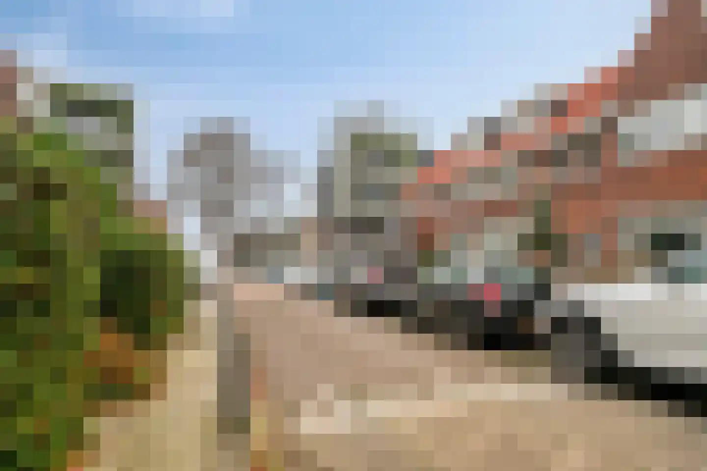 Lijsterbesstraat 54 Zaandam thumbnail 10