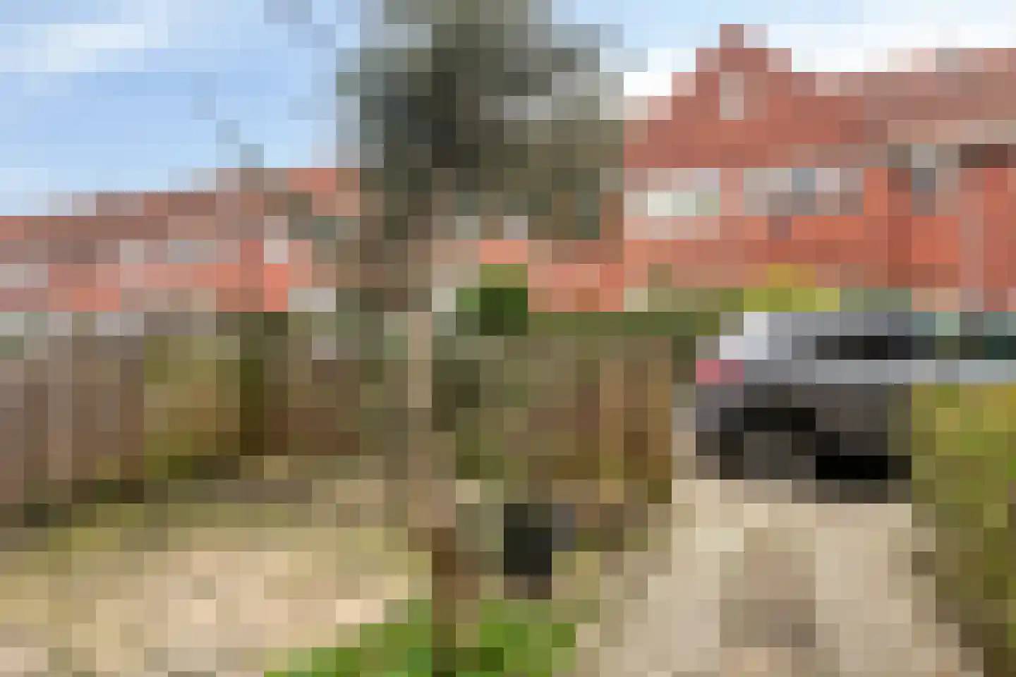 Lijsterbesstraat 54 Zaandam thumbnail 12