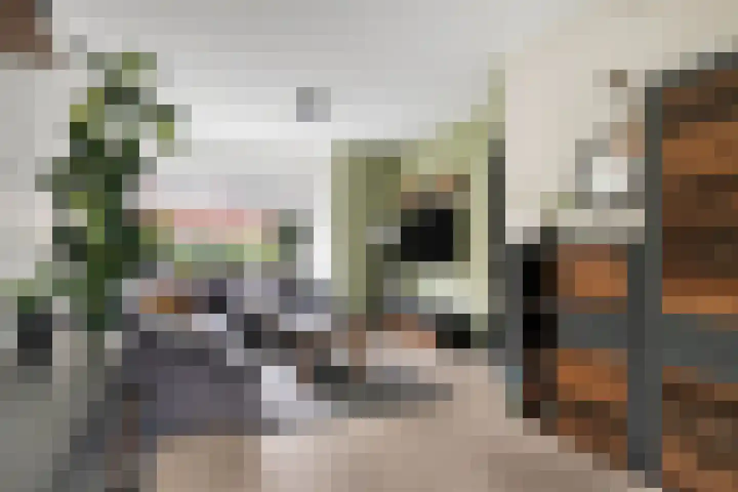 Lijsterbesstraat 54 Zaandam thumbnail 14