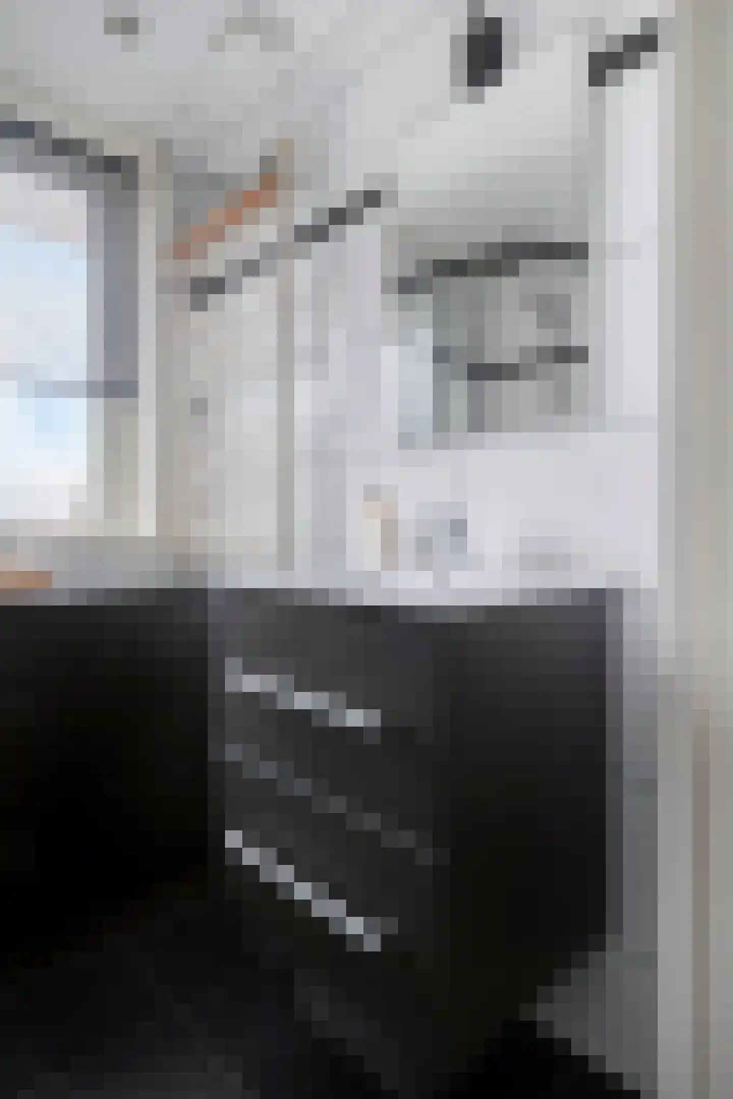 Lijsterbesstraat 54 Zaandam thumbnail 26