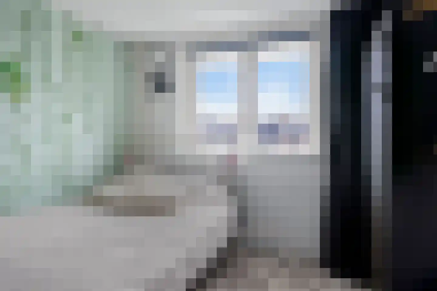 Lijsterbesstraat 54 Zaandam thumbnail 28