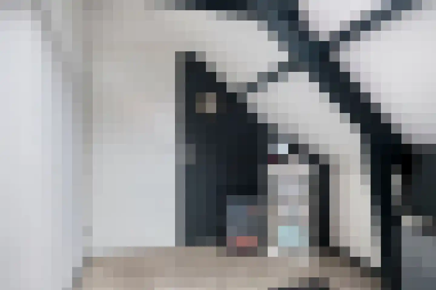 Lijsterbesstraat 54 Zaandam thumbnail 32