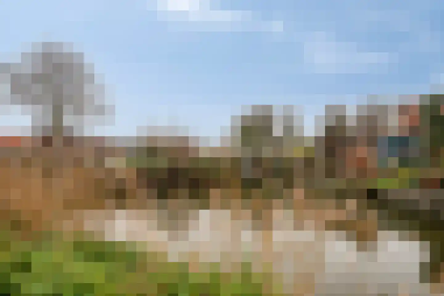 Lijsterbesstraat 54 Zaandam thumbnail 38