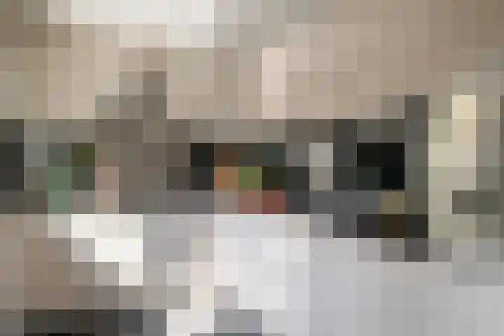 Lijsterbesstraat 55 Losser thumbnail 13