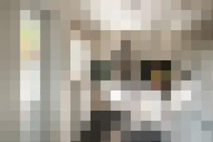 Lijsterbesstraat 55 Losser thumbnail 14