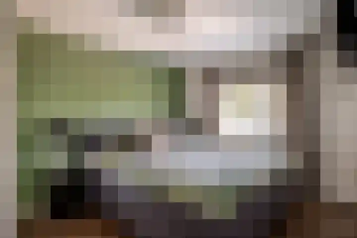 Lijsterbesstraat 55 Losser thumbnail 17