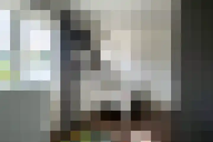 Lijsterbesstraat 55 Losser thumbnail 19