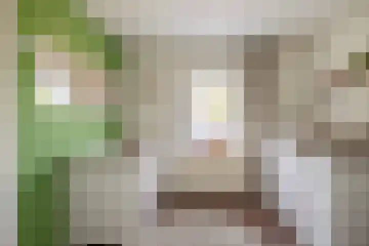Lijsterbesstraat 55 Losser thumbnail 21