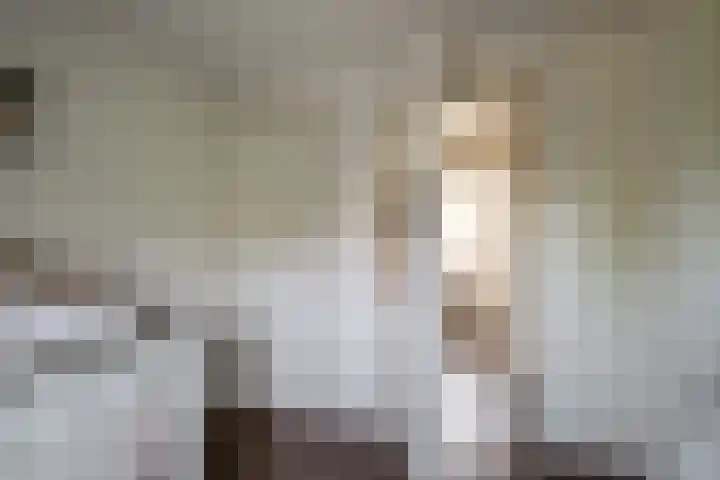 Lijsterbesstraat 55 Losser thumbnail 22