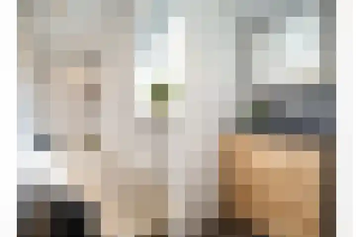 Lijsterbesstraat 55 Losser thumbnail 23