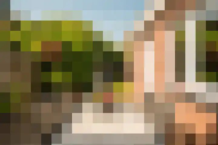 Lijsterbesstraat 55 Losser thumbnail 25