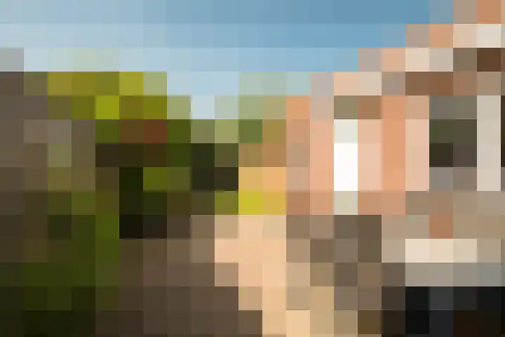 Lijsterbesstraat 55 Losser thumbnail 26