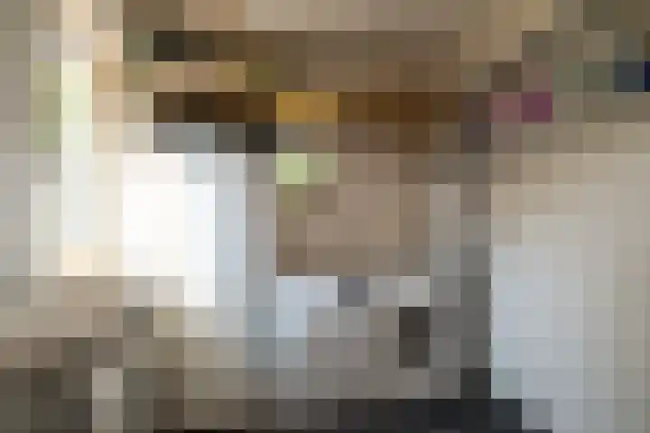 Lijsterbesstraat 55 Losser thumbnail 28