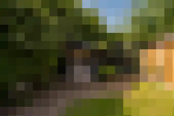 Lijsterbesstraat 55 Losser thumbnail 29