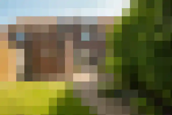 Lijsterbesstraat 55 Losser thumbnail 30