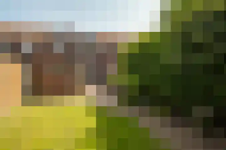 Lijsterbesstraat 55 Losser thumbnail 31
