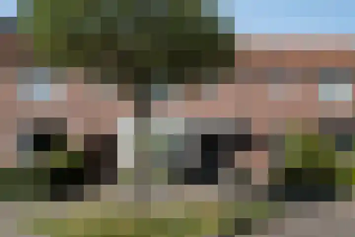 Lijsterbesstraat 55 Losser thumbnail 32