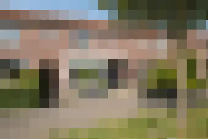Lijsterbesstraat 55 Losser thumbnail 33
