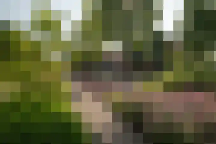Lijsterbesstraat 55 Losser thumbnail 34
