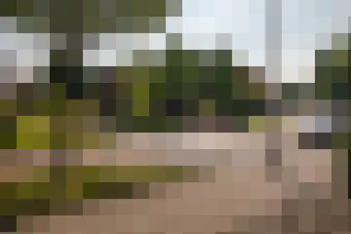 Lijsterbesstraat 55 Losser thumbnail 35