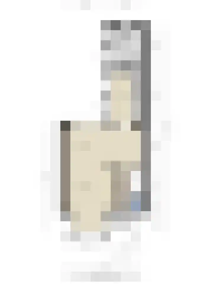 Lijsterbesstraat 55 Losser thumbnail 37