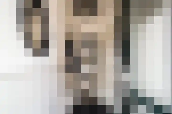 Lijsterbesstraat 55 Losser thumbnail 6