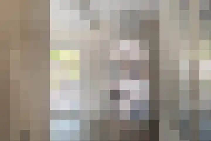 Lijsterbesstraat 55 Losser thumbnail 7
