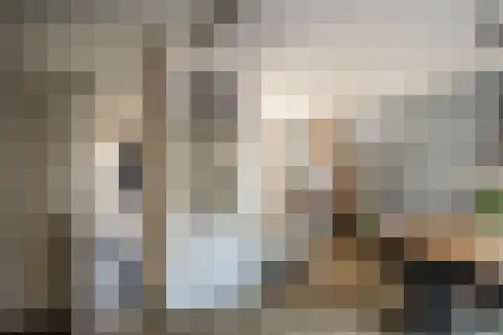 Lijsterbesstraat 55 Losser thumbnail 8