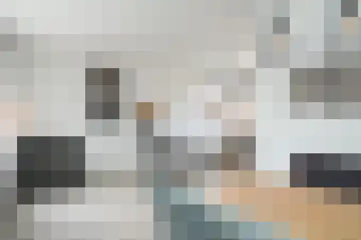 Lijsterbesstraat 55 Opheusden thumbnail 14