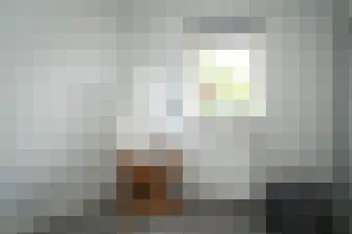Lijsterbesstraat 55 Opheusden thumbnail 19