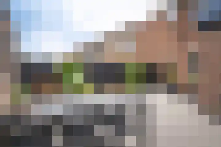 Lijsterbesstraat 55 Opheusden thumbnail 27