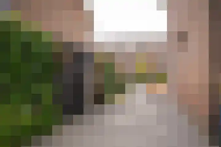 Lijsterbesstraat 55 Opheusden thumbnail 28