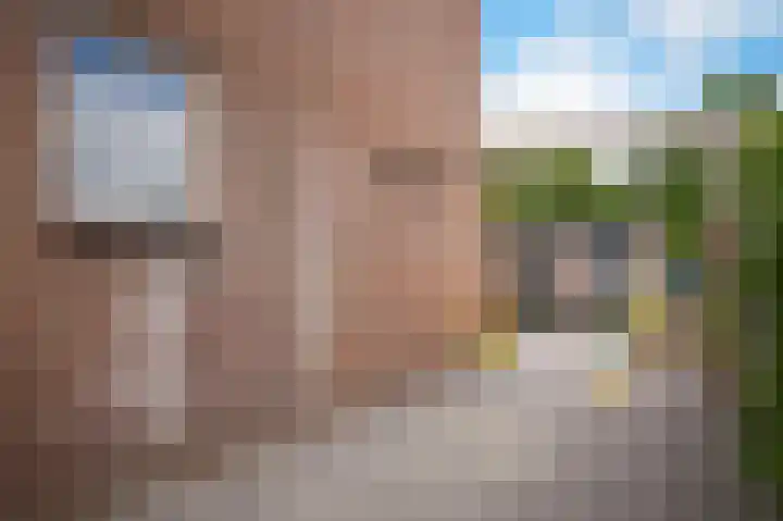 Lijsterbesstraat 55 Opheusden thumbnail 29